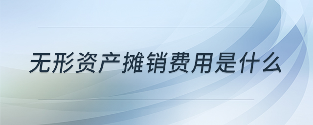 無形資產(chǎn)攤銷費(fèi)用是什么