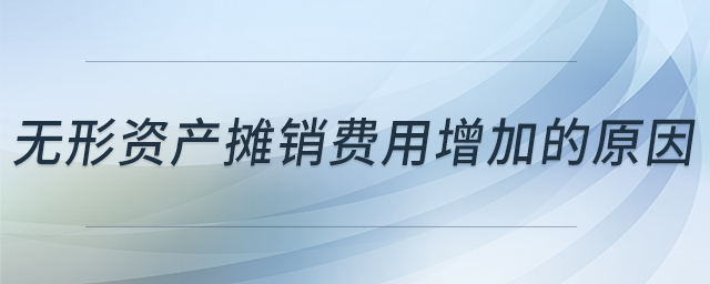 無形資產攤銷費用增加的原因