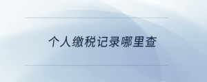 個(gè)人繳稅記錄哪里查