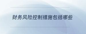 財(cái)務(wù)風(fēng)險(xiǎn)控制措施包括哪些