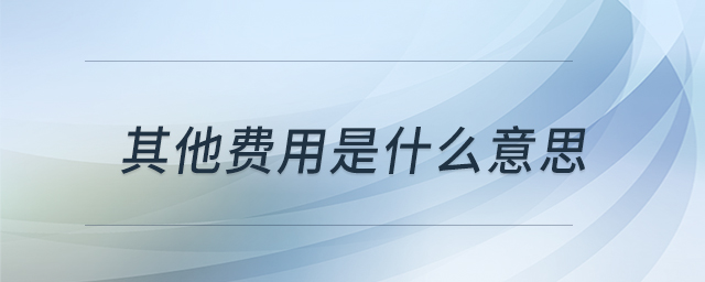 其他費(fèi)用是什么意思