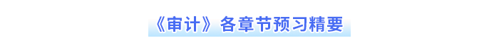 審計各章節(jié)預習精要