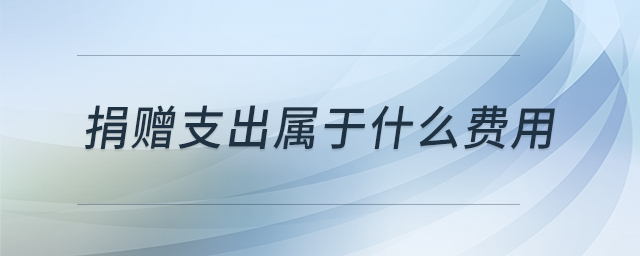 捐贈(zèng)支出屬于什么費(fèi)用