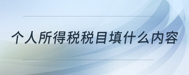 個人所得稅稅目填什么內(nèi)容