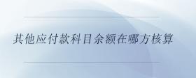其他應(yīng)付款科目余額在哪方核算