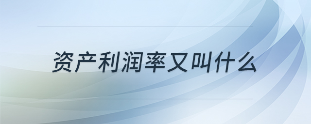 資產(chǎn)利潤率又叫什么