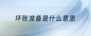 壞賬準(zhǔn)備是什么意思