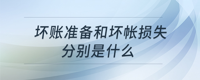 壞賬準備和壞帳損失分別是什么