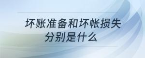 壞賬準(zhǔn)備和壞帳損失分別是什么