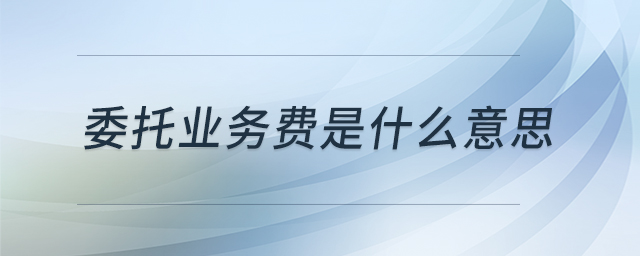 委托業(yè)務(wù)費(fèi)是什么意思