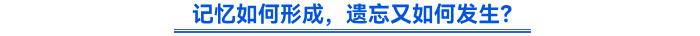 記憶如何形成，遺忘又如何發(fā)生？