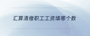 匯算清繳職工工資填哪個(gè)數(shù)