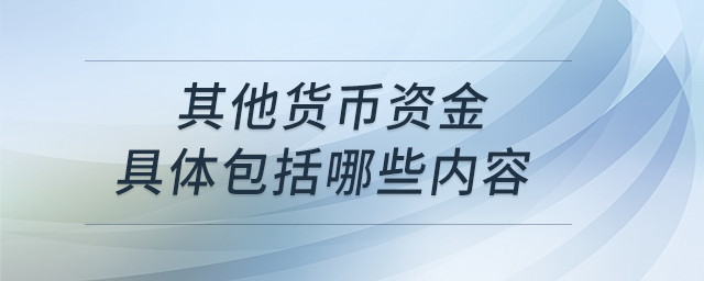 其他貨幣資金具體包括哪些內(nèi)容