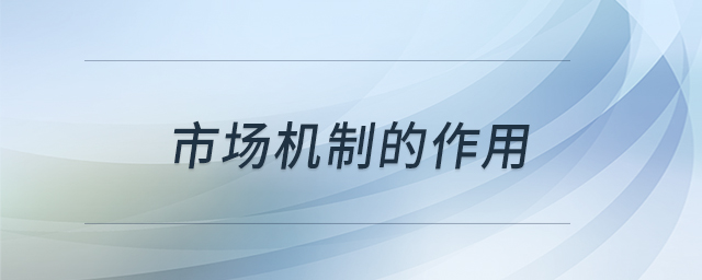 市場機(jī)制的作用