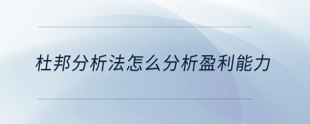 杜邦分析法怎么分析盈利能力