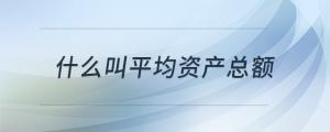 什么叫平均資產(chǎn)總額