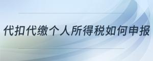 代扣代繳個(gè)人所得稅如何申報(bào)