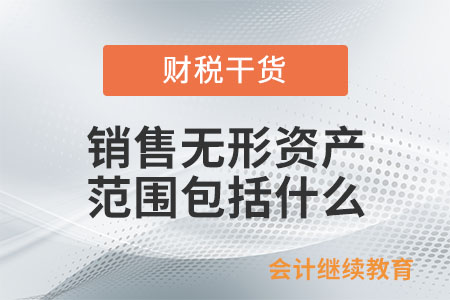 銷售無形資產(chǎn)的范圍包括什么？