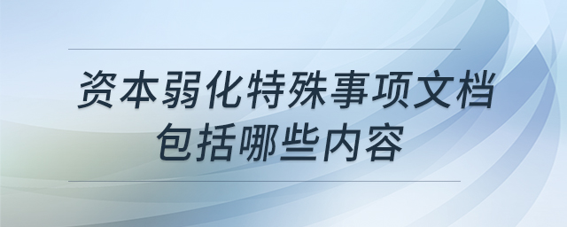 資本弱化特殊事項文檔包括哪些內容