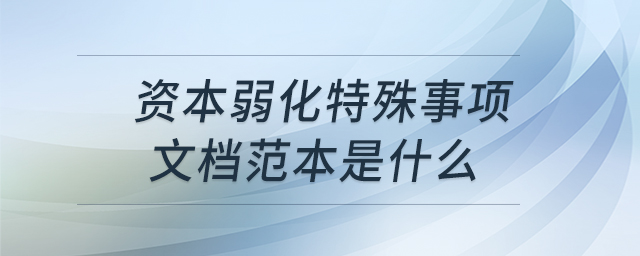 資本弱化特殊事項(xiàng)文檔范本是什么