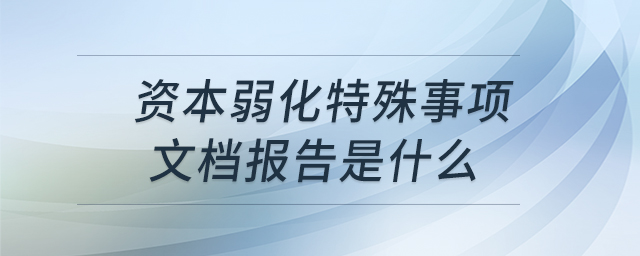 資本弱化特殊事項文檔報告是什么