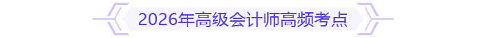 2026年高級(jí)會(huì)計(jì)師高頻考點(diǎn)