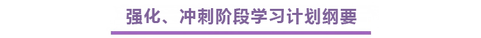 強化、沖刺階段學(xué)習(xí)計劃綱要