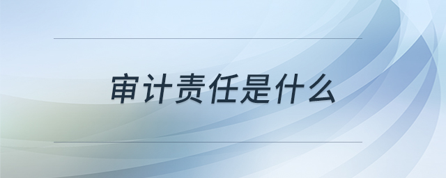 審計(jì)責(zé)任是什么