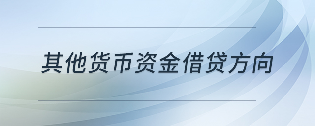 其他貨幣資金借貸方向