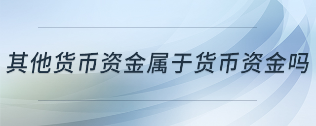 其他貨幣資金屬于貨幣資金嗎