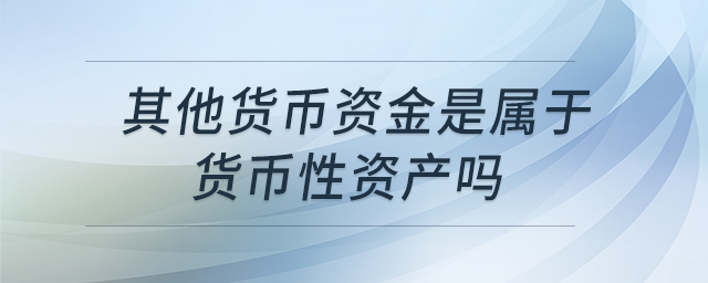 其他貨幣資金是屬于貨幣性資產(chǎn)嗎
