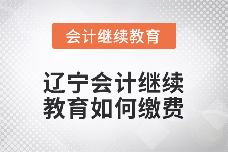 2026年遼寧會計(jì)繼續(xù)教育如何繳費(fèi)？