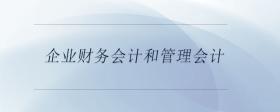 企業(yè)財務(wù)會計和管理會計