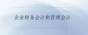 企業(yè)財務(wù)會計和管理會計