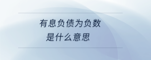 有息負(fù)債為負(fù)數(shù)是什么意思
