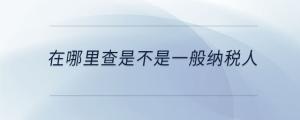 在哪里查是不是一般納稅人