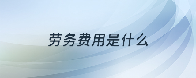 勞務(wù)費(fèi)用是什么