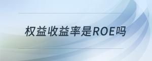 權(quán)益收益率是roe嗎