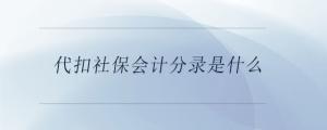 代扣社保會計分錄是什么