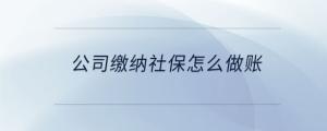 公司繳納社保怎么做賬
