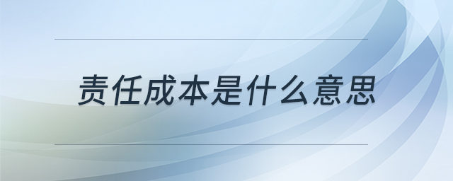 責(zé)任成本是什么意思