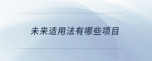 未來(lái)適用法有哪些項(xiàng)目