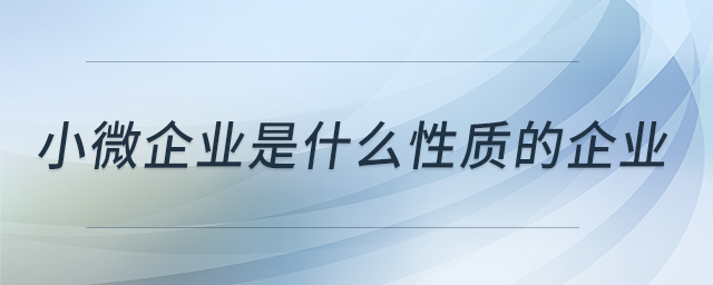 小微企業(yè)是什么性質(zhì)的企業(yè)