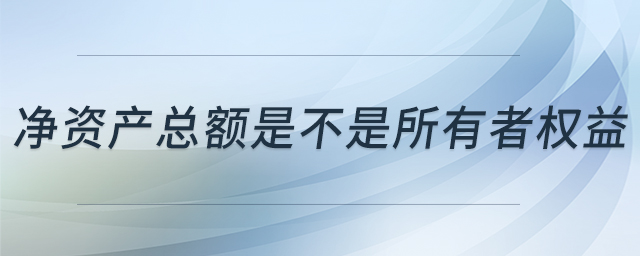 凈資產(chǎn)總額是不是所有者權(quán)益