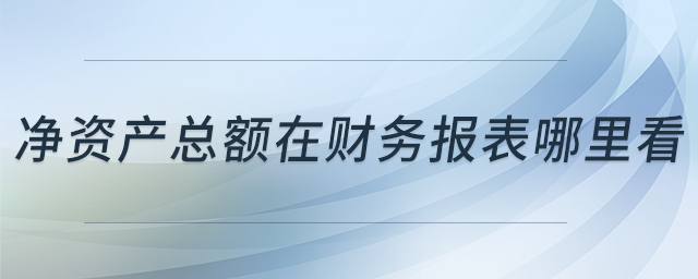凈資產(chǎn)總額在財務(wù)報表哪里看