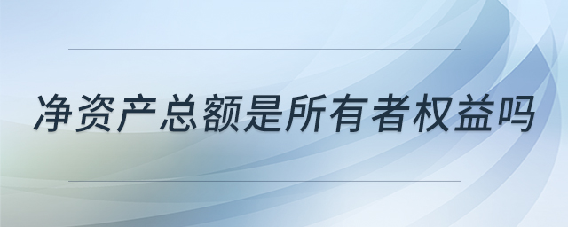 凈資產(chǎn)總額是所有者權(quán)益嗎