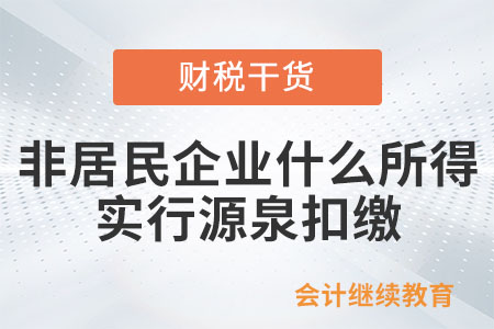 對(duì)于非居民企業(yè)的什么所得實(shí)行源泉扣繳？
