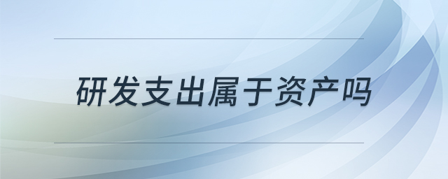 研發(fā)支出屬于資產(chǎn)嗎