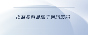 損益類科目屬于利潤(rùn)表嗎