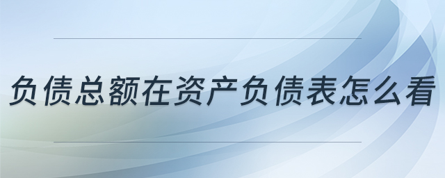 負債總額在資產(chǎn)負債表怎么看